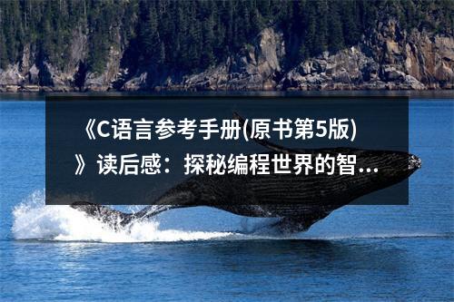 《C語言參考手冊(原書第5版)》讀后感：探秘編程世界的智慧燈塔 (750字)
