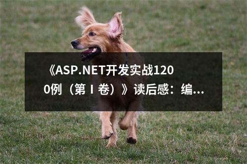 《ASP.NET開發(fā)實戰(zhàn)1200例（第Ⅰ卷）》讀后感：編程之路，攜手共進(jìn) (700字)
