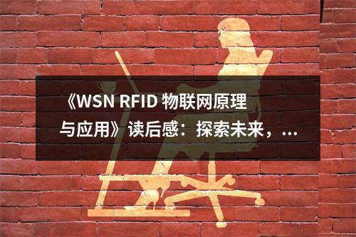 《WSN RFID 物聯(lián)網(wǎng)原理與應(yīng)用》讀后感：探索未來，智慧無處不在 (950字)