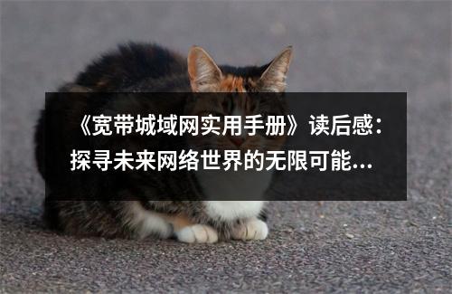 《寬帶城域網(wǎng)實用手冊》讀后感：探尋未來網(wǎng)絡(luò)世界的無限可能 (750字)