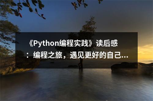 《Python編程實踐》讀后感：編程之旅，遇見更好的自己 (700字)