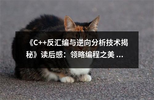 《C++反匯編與逆向分析技術(shù)揭秘》讀后感：領(lǐng)略編程之美 (700字)