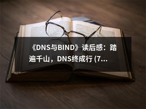 《DNS與BIND》讀后感：踏遍千山，DNS終成行 (750字)
