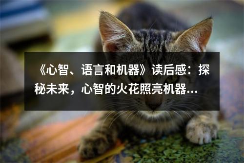 《心智、語言和機器》讀后感：探秘未來，心智的火花照亮機器之路 (750字)