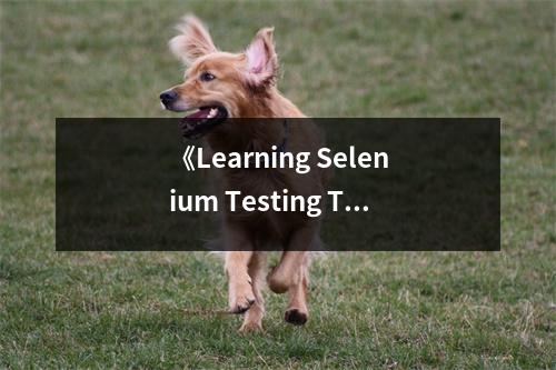 《Learning Selenium Testing Tools with Python》讀后感：探索自動化測試的奧秘，開啟無限可能 (850字)