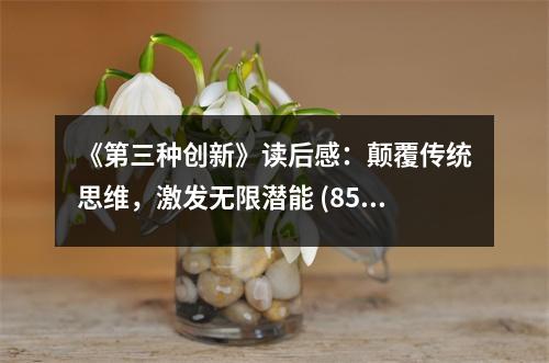 《第三種創(chuàng)新》讀后感：顛覆傳統(tǒng)思維，激發(fā)無限潛能 (850字)