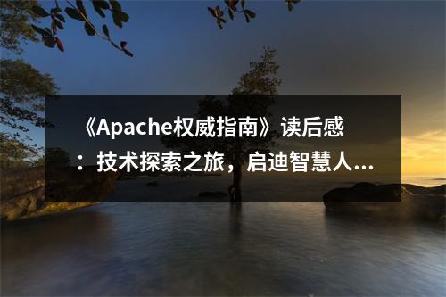 《Apache權(quán)威指南》讀后感：技術(shù)探索之旅，啟迪智慧人生 (750字)