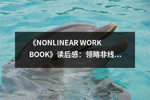 《NONLINEAR WORKBOOK》讀后感：領(lǐng)略非線性之美 (700字)