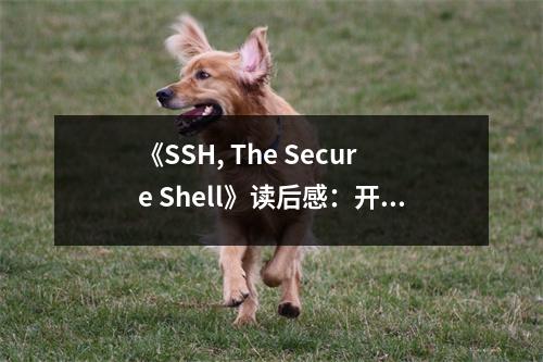 《SSH, The Secure Shell》讀后感：開啟安全通信的新篇章 (750字)