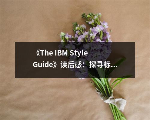 《The IBM Style Guide》讀后感：探尋標(biāo)準(zhǔn)之美，啟迪思維火花 (950字)