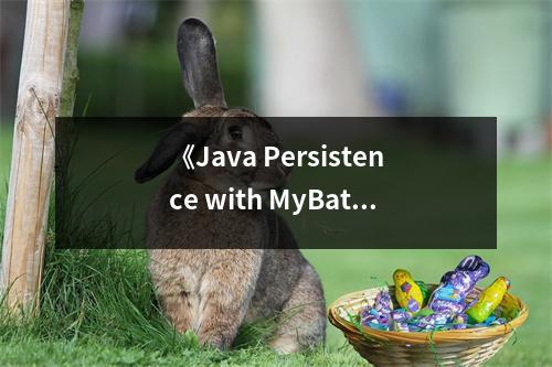 《Java Persistence with MyBatis 3》讀后感：探尋持久化之美，啟迪編程人生 (700字)