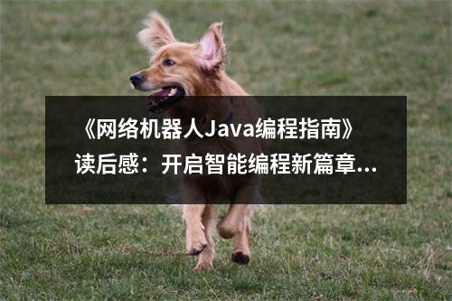 《網(wǎng)絡(luò)機(jī)器人Java編程指南》讀后感：開啟智能編程新篇章 (700字)