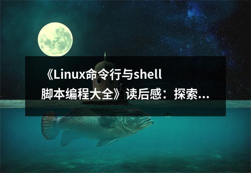 《Linux命令行與shell腳本編程大全》讀后感：探索代碼世界的鑰匙 (800字)