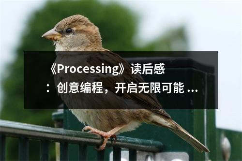 《Processing》讀后感：創(chuàng)意編程，開啟無限可能 (700字)