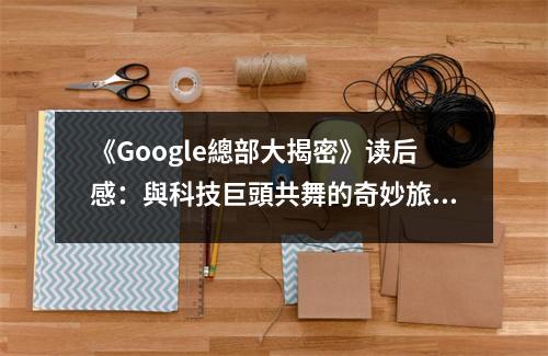 《Google總部大揭密》讀后感：與科技巨頭共舞的奇妙旅程 (750字)