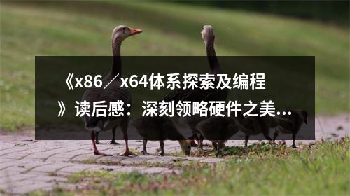 《x86／x64體系探索及編程》讀后感：深刻領(lǐng)略硬件之美 (800字)