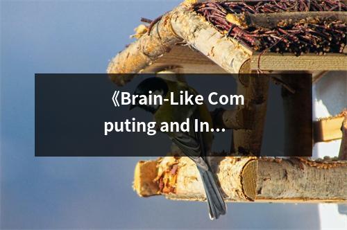 《Brain-Like Computing and Intelligent Information Systems》讀后感：腦機交融，智慧無限 (1000字)
