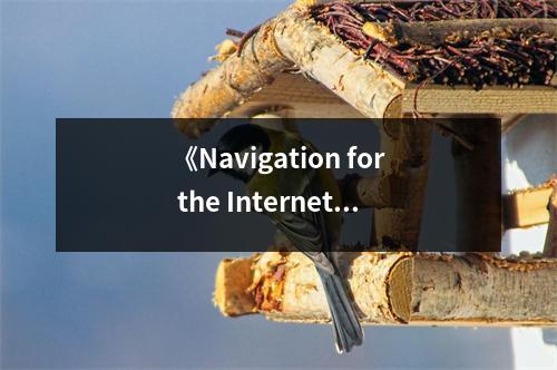 《Navigation for the Internet and Other Digital Media》讀后感：在網絡海洋中航行的指南針 (850字)