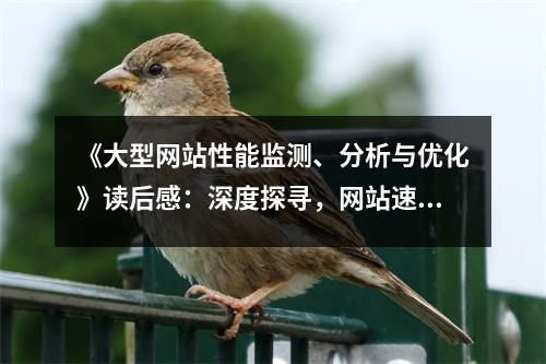 《大型網站性能監(jiān)測、分析與優(yōu)化》讀后感：深度探尋，網站速度的極致追求 (900字)