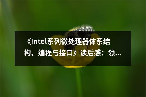 《Intel系列微處理器體系結構、編程與接口》讀后感：領略科技魅力，鑄就輝煌未來 (800字)