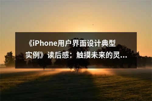 《iPhone用戶界面設計典型實例》讀后感：觸摸未來的靈感源泉 (900字)