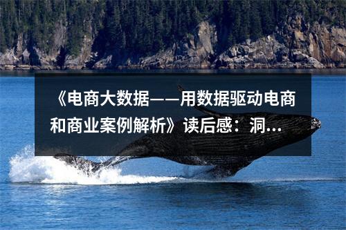 《電商大數(shù)據——用數(shù)據驅動電商和商業(yè)案例解析》讀后感：洞察商業(yè)奧秘，數(shù)據成就未來 (850字)