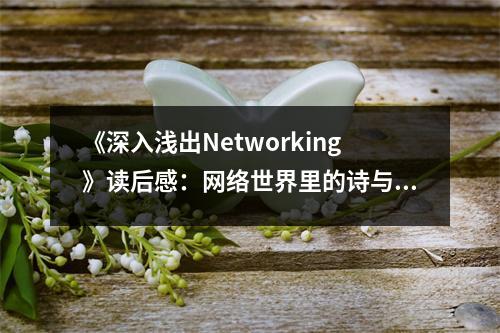 《深入淺出Networking》讀后感：網絡世界里的詩與遠方 (1050字)