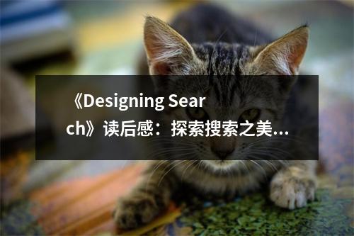 《Designing Search》讀后感：探索搜索之美，靈感無限 (750字)