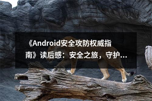《Android安全攻防權(quán)威指南》讀后感：安全之旅，守護(hù)夢(mèng)想的盾牌 (750字)