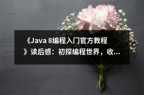 《Java 8編程入門官方教程》讀后感：初探編程世界，收獲滿滿喜悅 (750字)