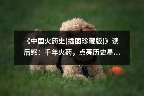 《中國火藥史(插圖珍藏版)》讀后感：千年火藥，點(diǎn)亮歷史星空 (650字)