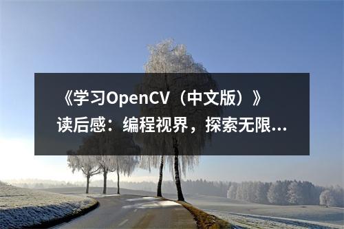 《學(xué)習(xí)OpenCV（中文版）》讀后感：編程視界，探索無限奧秘 (850字)