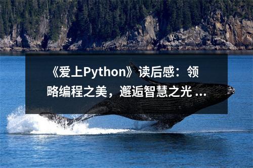 《愛上Python》讀后感：領(lǐng)略編程之美，邂逅智慧之光 (800字)