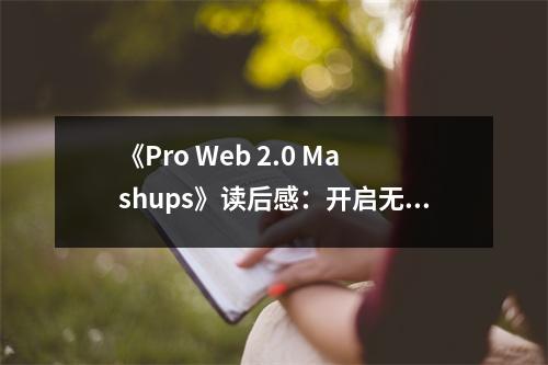 《Pro Web 2.0 Mashups》讀后感：開啟無限創(chuàng)意之門 (650字)