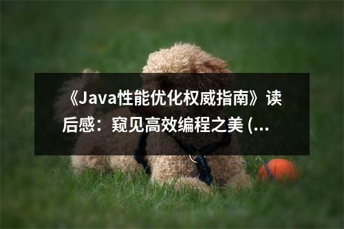 《Java性能優(yōu)化權(quán)威指南》讀后感：窺見(jiàn)高效編程之美 (750字)