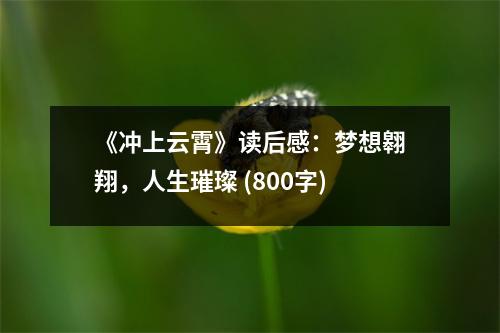 《沖上云霄》讀后感：夢(mèng)想翱翔，人生璀璨 (800字)