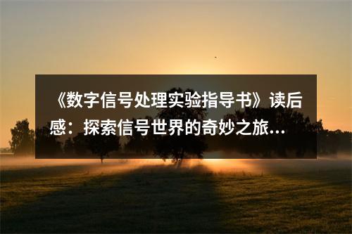 《數(shù)字信號(hào)處理實(shí)驗(yàn)指導(dǎo)書(shū)》讀后感：探索信號(hào)世界的奇妙之旅 (700字)