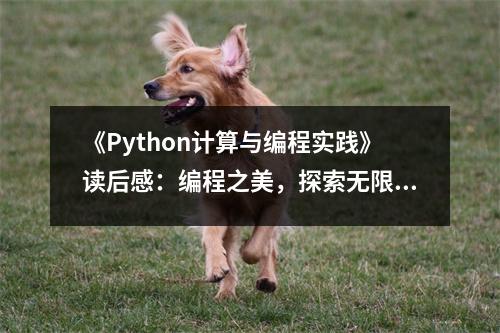 《Python計算與編程實踐》讀后感：編程之美，探索無限可能 (750字)
