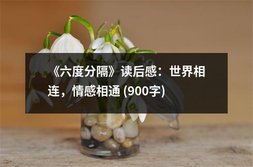《六度分隔》讀后感：世界相連，情感相通 (900字)