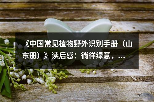 《中國常見植物野外識別手冊（山東冊）》讀后感：徜徉綠意，感受自然魅力 (1050字)