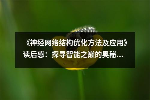 《神經(jīng)網(wǎng)絡結構優(yōu)化方法及應用》讀后感：探尋智能之巔的奧秘 (900字)