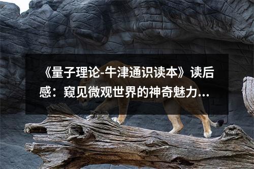 《量子理論-牛津通識讀本》讀后感：窺見微觀世界的神奇魅力 (850字)