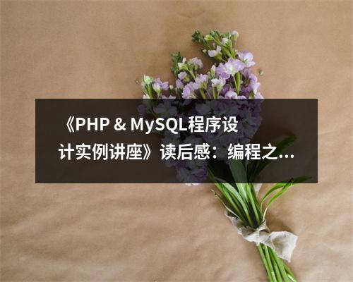 《PHP & MySQL程序設計實例講座》讀后感：編程之旅，收獲滿滿 (750字)