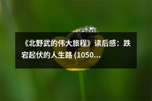 《北野武的偉大旅程》讀后感：跌宕起伏的人生路 (1050字)