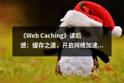 《Web Caching》讀后感：緩存之道，開啟網(wǎng)絡(luò)加速之旅 (750字)