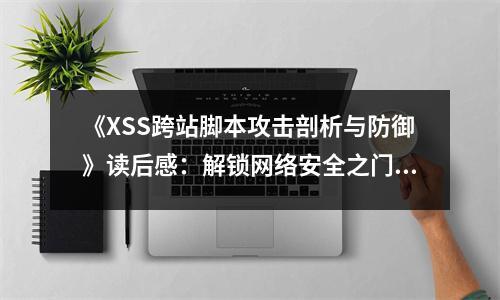 《XSS跨站腳本攻擊剖析與防御》讀后感：解鎖網(wǎng)絡(luò)安全之門，探尋未知威脅世界 (750字)