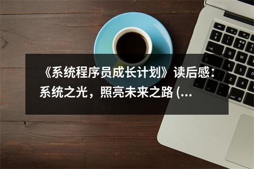 《系統(tǒng)程序員成長計劃》讀后感：系統(tǒng)之光，照亮未來之路 (850字)