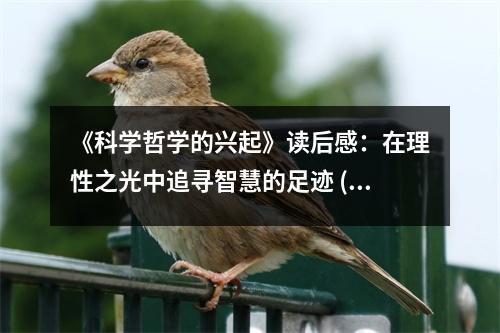 《科學哲學的興起》讀后感：在理性之光中追尋智慧的足跡 (850字)