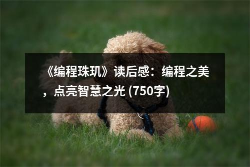 《編程珠璣》讀后感：編程之美，點亮智慧之光 (750字)