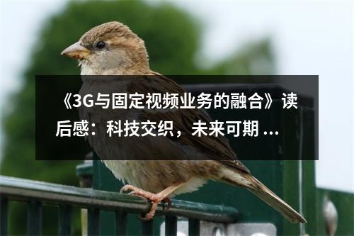 《3G與固定視頻業(yè)務(wù)的融合》讀后感：科技交織，未來可期 (650字)